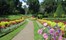 SRI LANKA - Peredineyah Gardens
