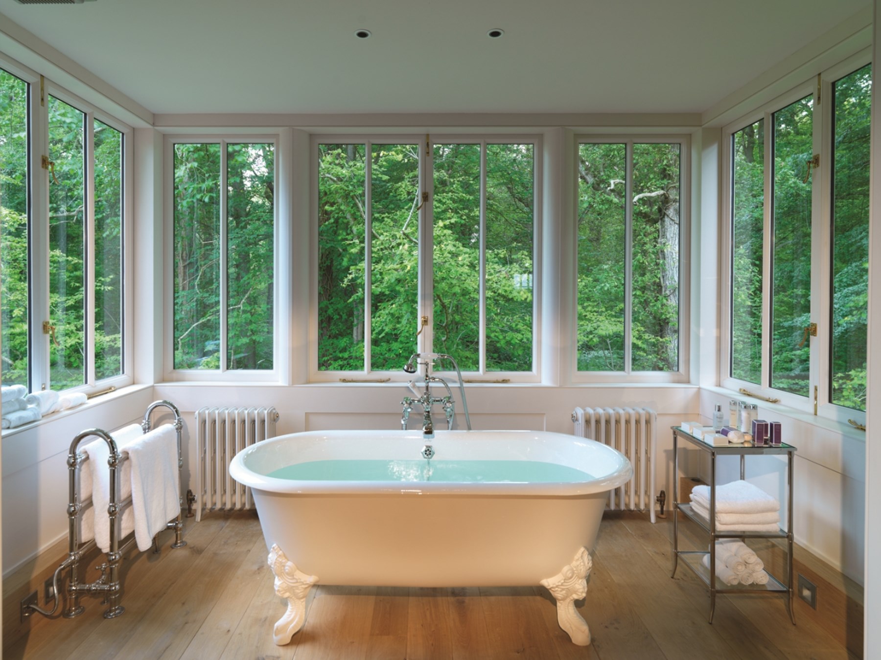 UK - Limewood, New Forest