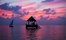MALDIVES - Taj Exotica romantic dining sunset