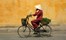 VIETNAM Local Man Cycling