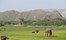 Ajabgarh Rajasthan North India