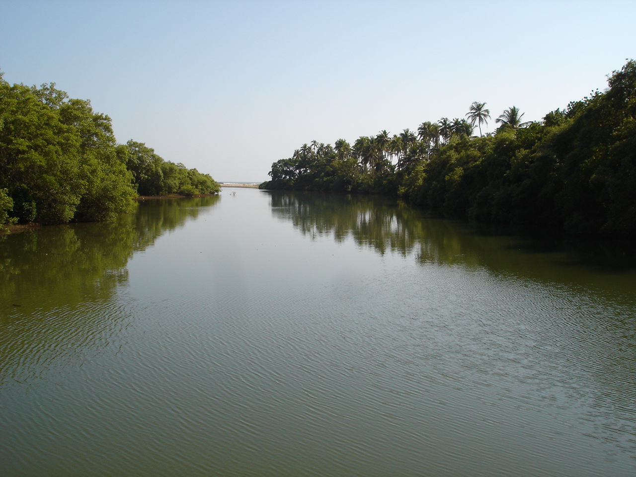 Elsewhere Goa South India 11 