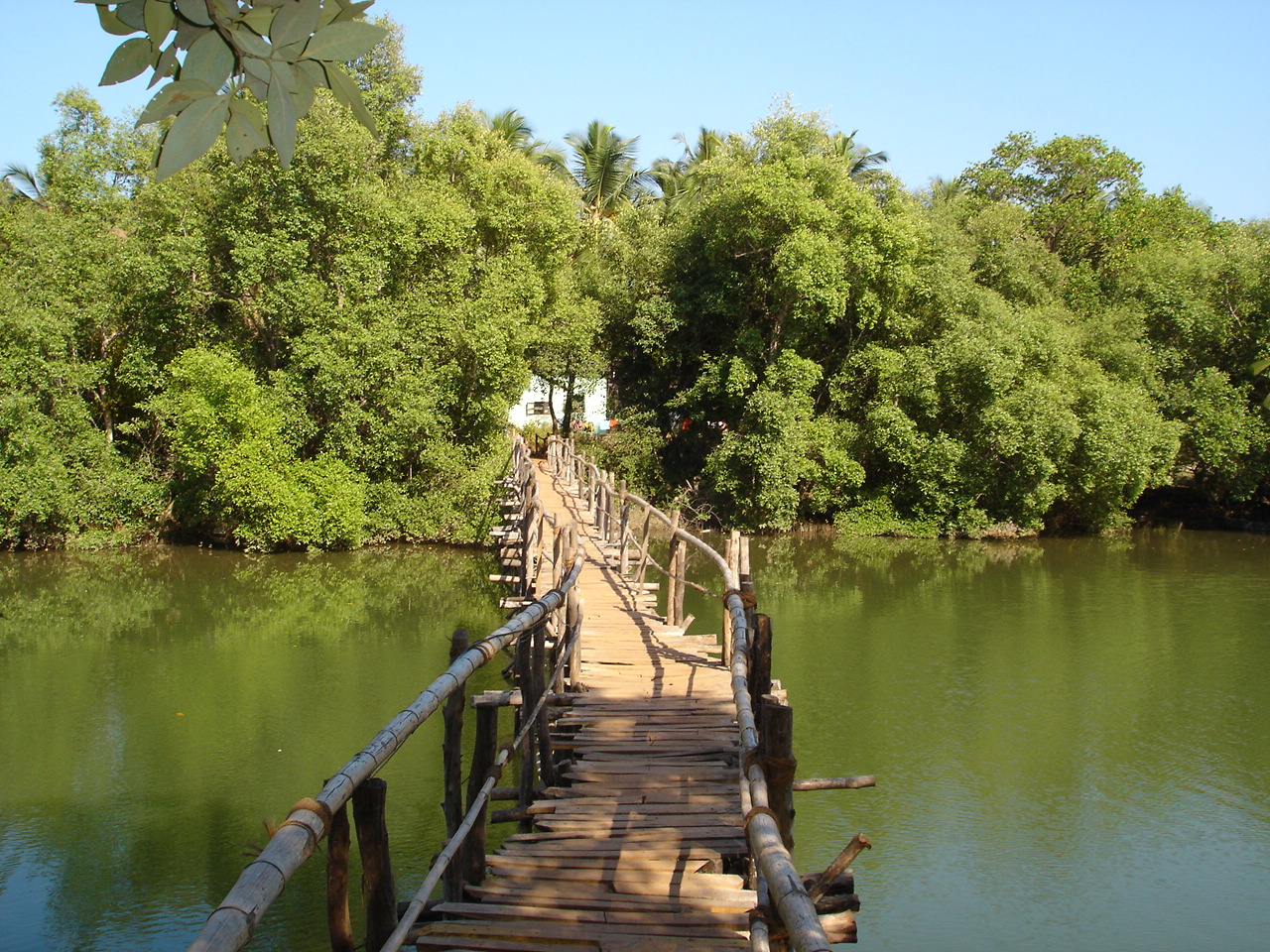 Elsewhere Goa South India 12 