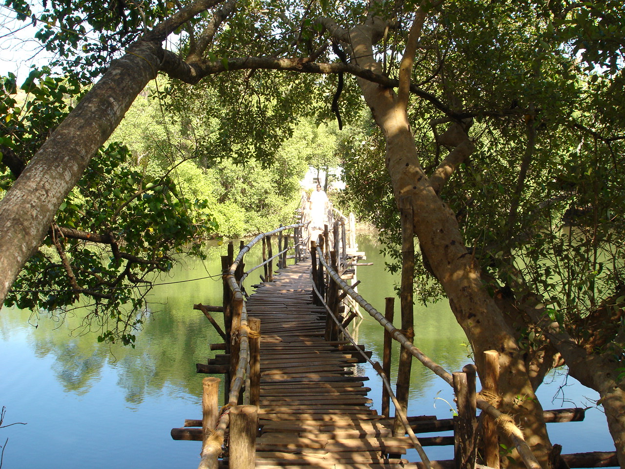 Elsewhere Goa South India 14 