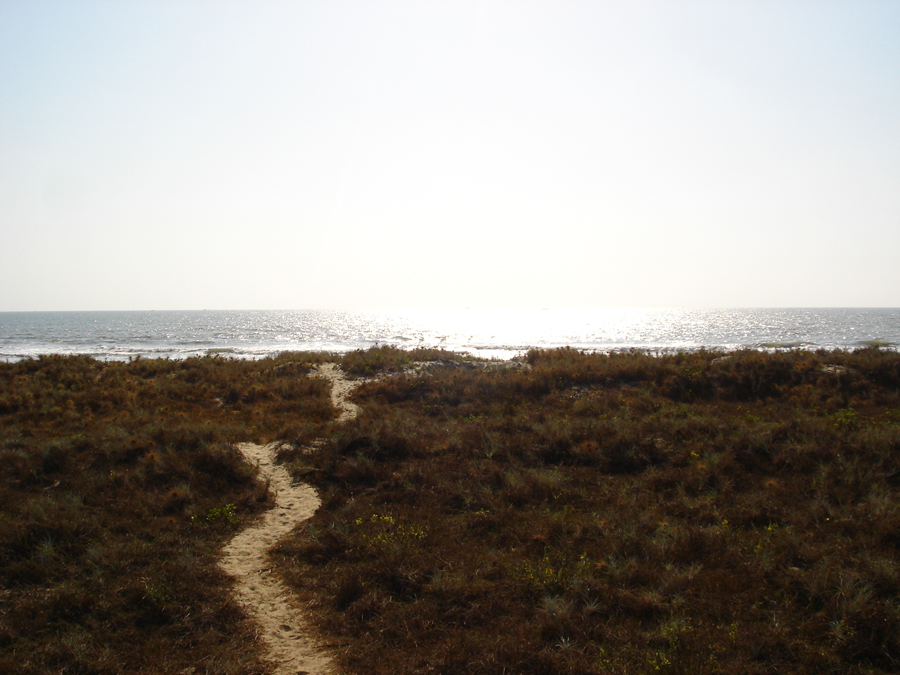 Elsewhere Goa South India 25 