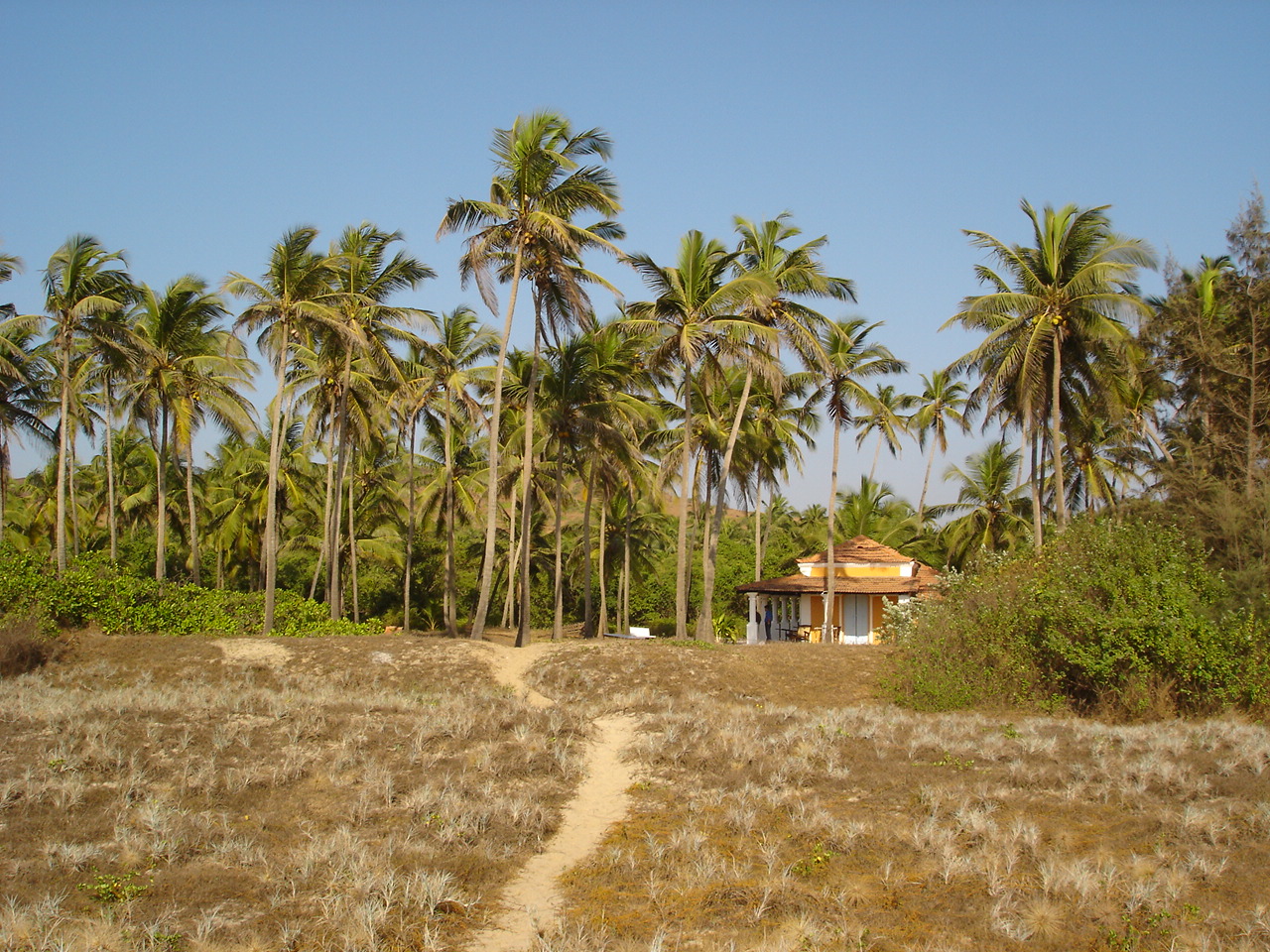 Elsewhere Goa South India 27 