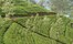 Castlereagh Tea Trails Sri Lanka 2 