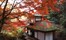 Autumn Leaves In Japan 2 