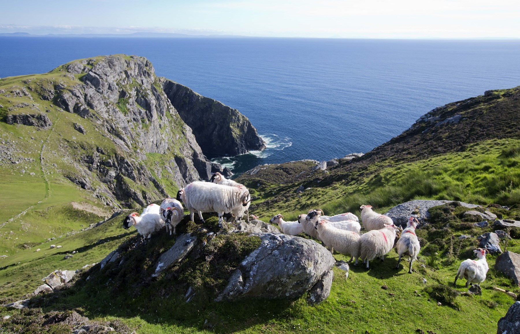 UK Slieve League Cliffs Donegal Ireland