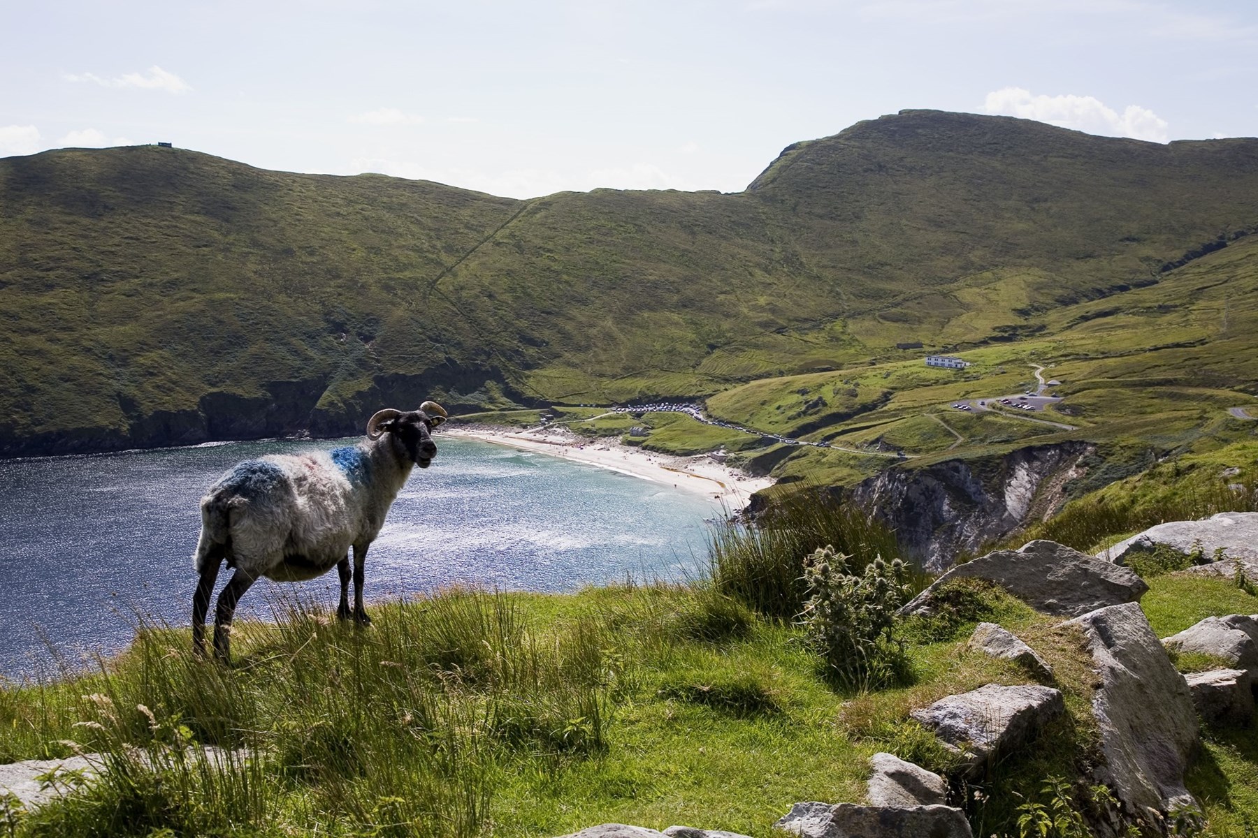UK Achill Island Keem Bay Ireland 2