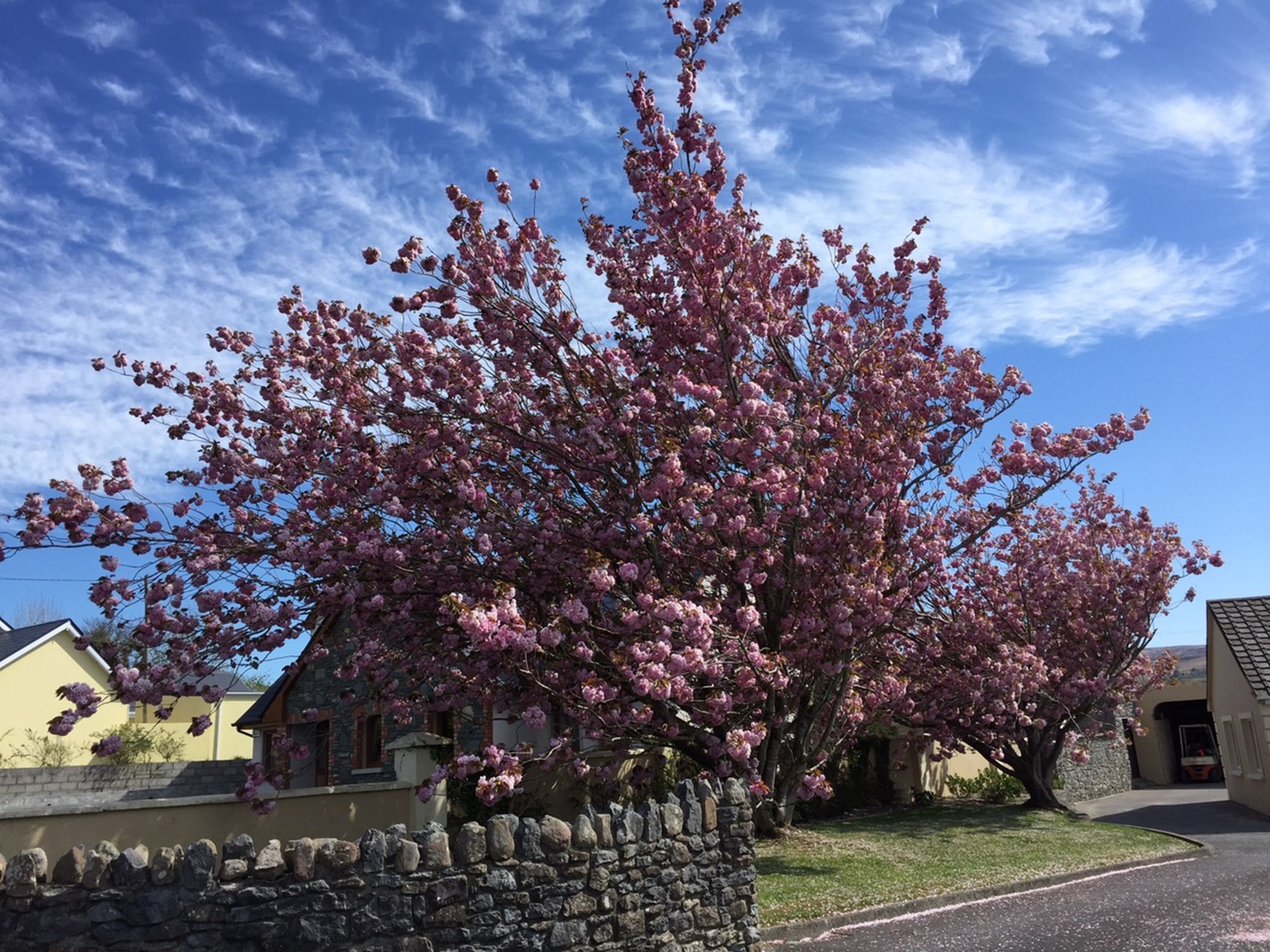 Ireland Research Trip April 2015 Ampersand Travel 95