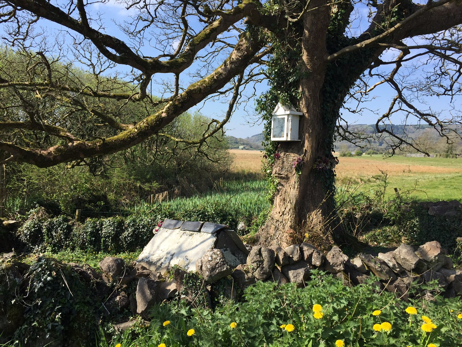 Ireland Gallery To Add 10 