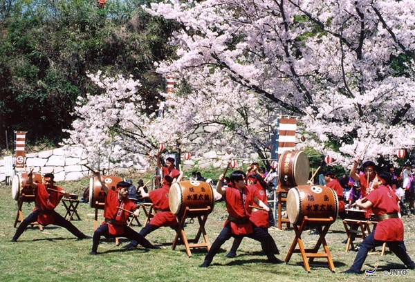 M _106050 Drummers And Cherry Blossom 2