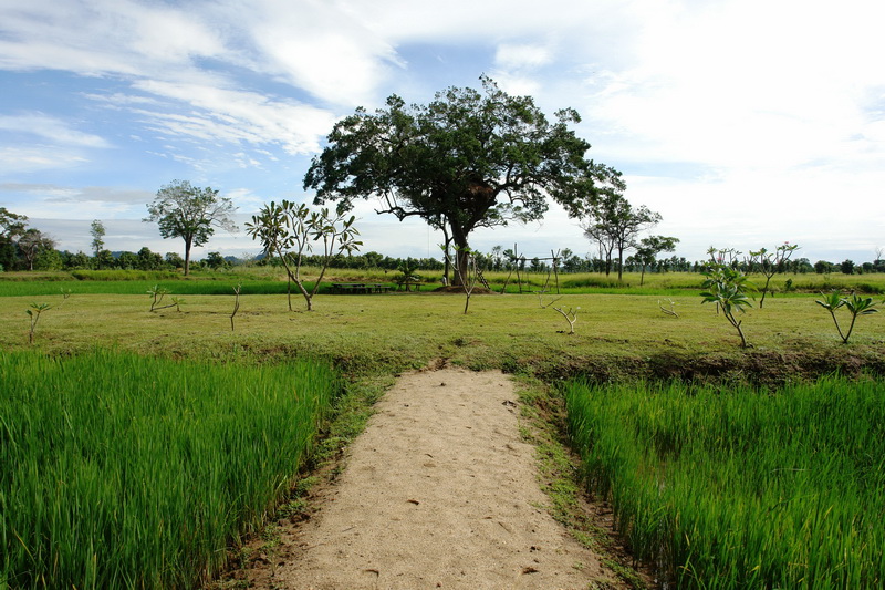 Galapita Eco Lodge Butalla Sri Lanka 17 