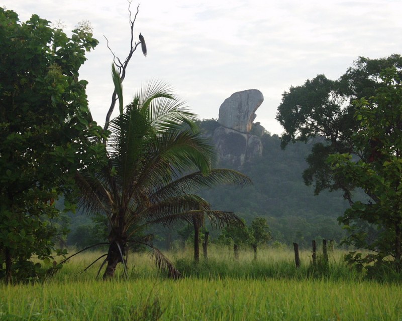 Galapita Eco Lodge Butalla Sri Lanka 11 