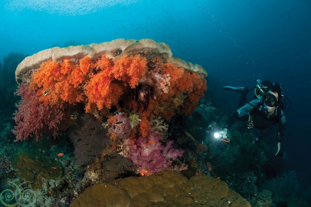 Misool Eco Resort Raja Ampat Indonesia 3 