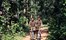 Samode Safari Lodge Bandhavgar National Park North India 6 