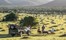 Kartiega Settlers Drift Eastern Cape South Africa 50