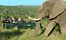 Kartiega Settlers Drift Eastern Cape South Africa 9