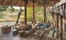 Dulini Leadwood Lodge Kruger South Africa 8