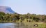 Marataba Safari Lodge Marataba Marakele Waterberg South Africa 36