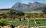 Babylonstoren Winelands South Africa 15