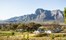 Boschedal Winelands South Africa 20