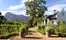 Boschedal Winelands South Africa 46