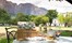 Boschedal Winelands South Africa 64