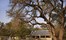Singita Castleton Lodge Kruger National Park South Africa13