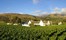 Steenberg Farm And Vineyards Winelands South Africa 3