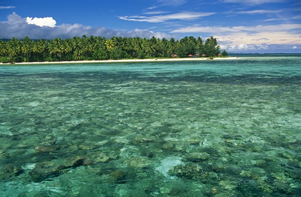 Indonesia Sulawesi Banggai Islands