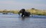 Camp Okavango Moremi Game Reserve 23Jpg