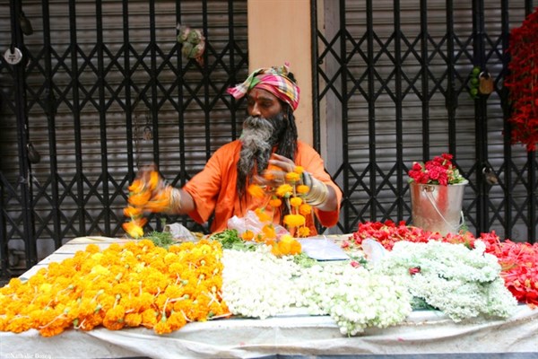 Calcutta The Glenburn Experience Flowers