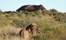 Kwando Tau Lodge Central Kalahari Botswana 10Jpg