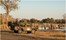 Machaba Camp Moremi Botswana 2