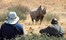 Desert Rhino Camp Damaraland Namibia 8