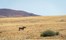 Desert Rhino Camp Damaraland Namibia 28