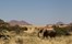 Desert Rhino Camp Damaraland Namibia 35