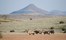 Desert Rhino Camp Damaraland Namibia 51