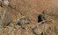 Desert Rhino Camp Damaraland Namibia 1