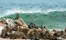 Hoanib Skeleton Coast Skeleton Coast Namibia 91