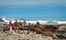 Hoanib Skeleton Coast Skeleton Coast Namibia 14