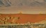 Wolwedans Dune Lodge Sossusvlei Namibia 18