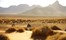 Sossusvlei Desert Lodge Sossusvlei Namibia 22