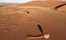 Namibia Namib Sky Balloon And Shadow In Dunes