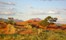Tok Tokkie Trails Sossusvlei Namibia3