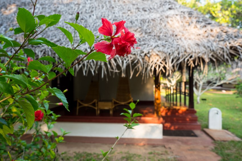 Marari Beach Mararikulam Kerala South India 2 (1)