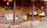 Stanley Safari Lodge Victoria Falls Zambia60