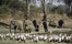 Zambia Stanley Safari Lodge Victoria Falls Rps 2012 09 221